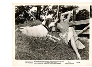 O. Henry's Full House 1952 Richard Widmark Anne Baxter Movie Still Photo #8 - Picture 1 of 1