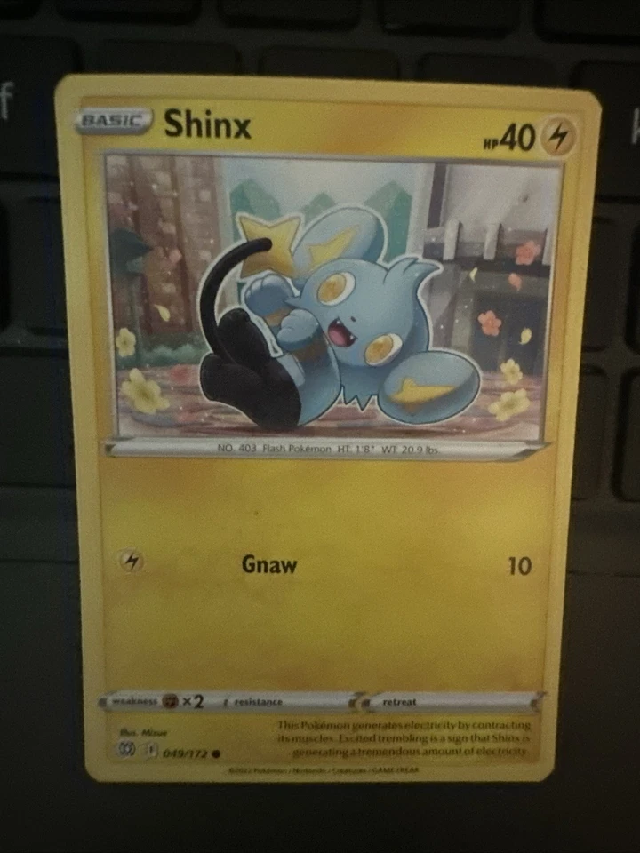 Shinx 049/172 Swsh09: Brilliant Stars Regular - Image 1 of 1