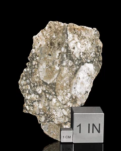 Rare and gorgeous Touat 005 Lunar Meteorite Slice. Lunar (feldspathic breccia) - Picture 1 of 3
