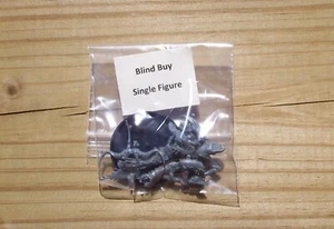 W:AOS Hedonites of Slaanesh _Slaangor Fiendblood Blind comprar figura única - Imagen 1 de 1