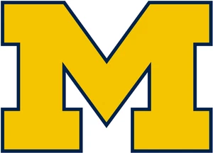 2-4 Tickets/ 2025 MICHIGAN WOLVERINES FOOTBALL--All Home Games Available - Picture 1 of 1