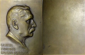 AUSTRIA Medal Bronze Plaque 129,15g. 55 x 71mm Genere Moribus Ingenio Egregius  - Picture 1 of 3
