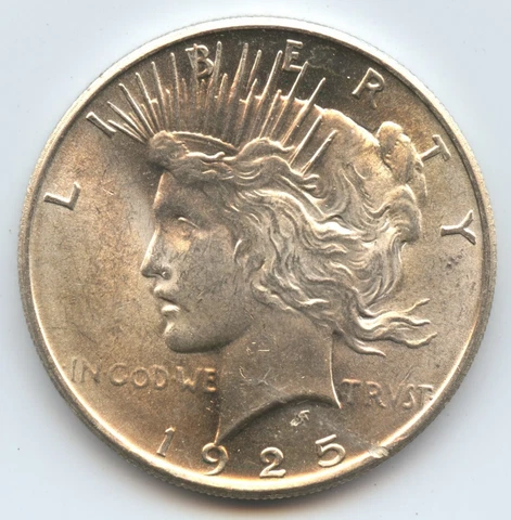 Error 1925 Peace Dollar (#6435) Choice BU+ Obv. Planchet Defect above Date Cover