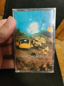 Sea of Treasures Bert Truax Cassette Tape 1989 VTG NIP sealed Debra Richtmeyer - Imagen 1 de 7
