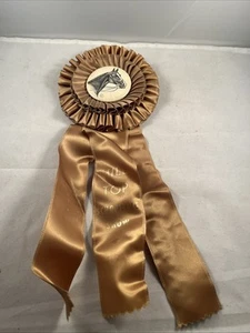 1971 Hilltop Schooling Horse Show Ribbon Prize Rosette Award Button Brown - Bild 1 von 5
