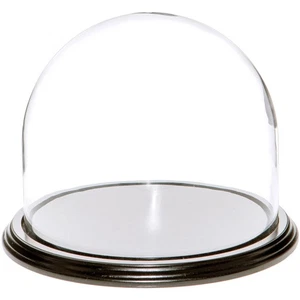 Plymor 8" x 6,5" Glas Display Kuppel Cloche (schwarz Holzfurnier Basis) - Bild 1 von 1