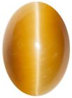 Natural Extra Fine Golden Honey Tiger's Eye - Oval Cabochon - South Africa - Aaa