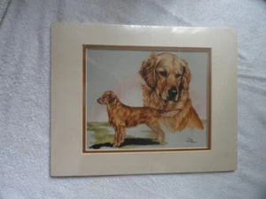 Matted Open Edition Art Print: Golden Retriever by Joanne Graham LAST ONE!* - Picture 1 of 2