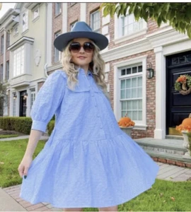 NWT Gingham 3/4 Sleeve Shirtdress Sandy Liang x Target Blue White S Small - Picture 1 of 4