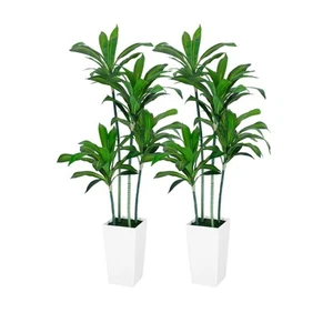 VIVATREES Dracaena Trees Artificial Indoor 5FT Tall Faux Tree with White Tall... - Picture 1 of 9