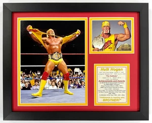 Hulk Hogan Framed Collectible Photo Collage 12"x15" Wrestling Memorabilia - Afbeelding 1 van 12