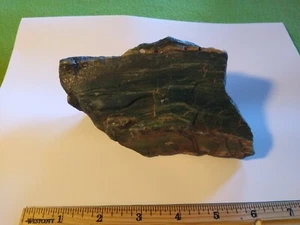 Premium Hampton Butte versteinertes Holz. - Bild 1 von 6