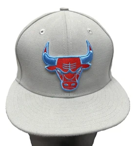 New Era 9Fifty Chicago Bulls Adjustable Grey Snapback Hat (YB) - Picture 1 of 6