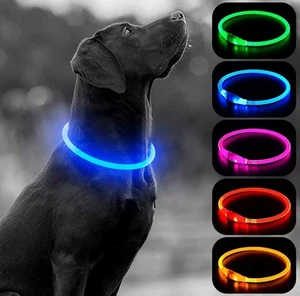 LED Hundehalsband USB Wiederaufladbar Leucht Hundehalsband Leuchtet im Dunkeln FARBE BLAU - Bild 1 von 5