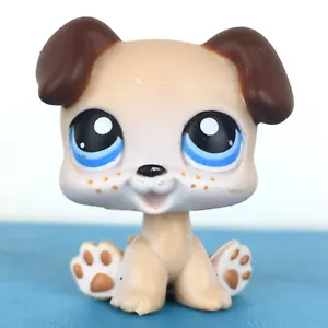 Authentic Littlest Pet Shop #143 Baby Boxer Welpe Hund / Original Hasbro LPS - Bild 1 von 3
