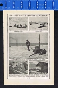 Sir Douglas Mawson - Expedition zum Südpol - Mackelleninseln - 1929 Illustration - Bild 1 von 1