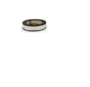 Filtro de aire General Motors 94206007 - Imagen 1 de 1