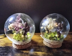 (2) 3D Art Glass Dome FAUX TAXIDERMY Tiny Fairy Corpse Weird Decor Handmade OOAK - Picture 1 of 8