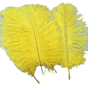 10PCS Natural 7.8-9.8inch Ostrich Feathers Plume for Wedding Centerpieces Hom... - Picture 1 of 3