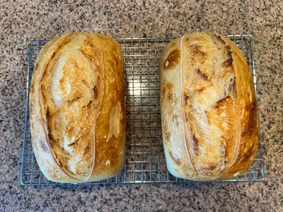 Dehydrated Sourdough Starter Strong Sour Active Northern California 15 Gram Bag - Image 1 of 4