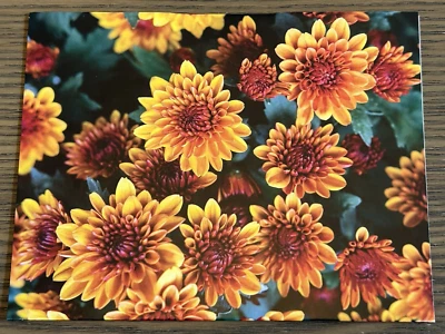 25 tarjetas y sobres en blanco con flores de mamá amarillas y naranjas Buffini & Co Foto 1 de 3