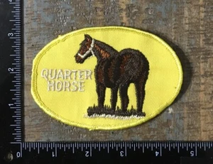 Vintage QUARTER HORSE Farm Animal Equine Pet Embroidered Sew-On Patch 1970’s - Picture 1 of 2