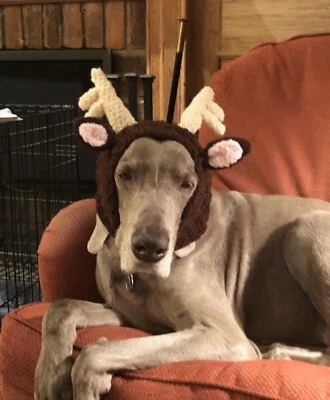 Handmade XXLarge Sized Reindeer hat Lurcher~Greyhound + other breeds - Image 1 of 4