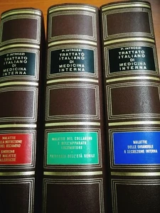 Enciclopedia Completa Trattato Italiano Di Medicina Interna P. Introzzi - Foto 1 di 12