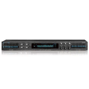 Technical Pro Professional Dual 10 Band Equalizer w/ Individual LED Indicators - Picture 1 of 7