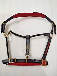 Leather Horse Anatomical Head Piece Halter 3 Row Red Crystal Chain - Picture 1 of 6