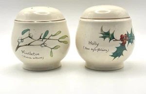 Noritake Country Diary Of An Edwardian Lady Salt and Pepper Shakers Ireland - Picture 1 of 5