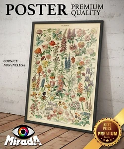 Poster Adolphe Millot Blumen Für Alle Pflanzen Sommer Frühling Blüten TOP - Bild 1 von 1