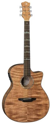 Luna Guitars High Tide Exotic Mahogany Grand Concert Cutaway A/E, HT EXM GCE - Image 1 of 4