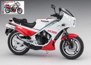Hasegawa KAWASAKI KR250 WHITE/RED COLOR KIT 1:12 - Imagen 1 de 1