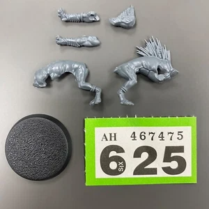 KROOT HOUND 5 XENOS TAU KROOT HUNTING PACK EMPIRE WARHAMMER 40K 40,000 - Picture 1 of 1
