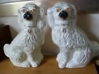 large Pair  Antique Staffordshire Mantle  Wally Dogs 13.5 " Yellow Eyes Spaniels
