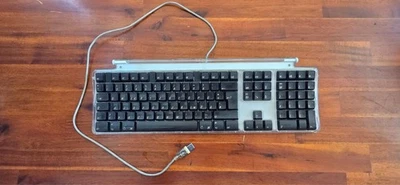 Apple Pro Keyboard mit 2 USB Schnittstellen Retro deutsches Layout - Bild 1 von 4
