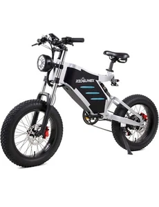 Ebike Fuoristrada Da 20 Pollici Per adulti batteria da 48v 25ah - Foto 1 di 6