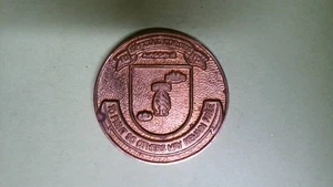 CHALLENGE COIN OLDER SPECIAL FORCES AIRBORNE THE PROFESSIONALS - Foto 1 di 2