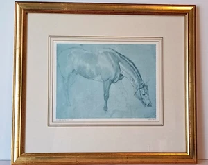 Studie eines Pferdes, Edwin Landseer 1802-1873 Druck im Rahmen - Bild 1 von 11