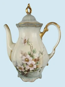 Antike Bavaria Germany Porzellan Blumen Teekanne & Deckel Wildrose Kaffee Schokolade - Bild 1 von 12