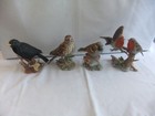 Vintage Maruri Bisque Porcelain Bird Figurines Blackbird, Thrush, Sparrow, Robin