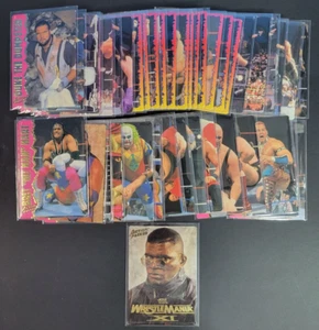 Juego completo lleno de acción WWF 1995 1 - 42 + Lawrence Taylor Promo WWE - Imagen 1 de 5