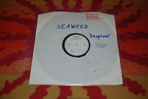 ♫♫♫ Seaweed - Despised - Test pressing Sub Pop SP 20/162 Vinyl LP NM♫♫♫ - Bild 1 von 5