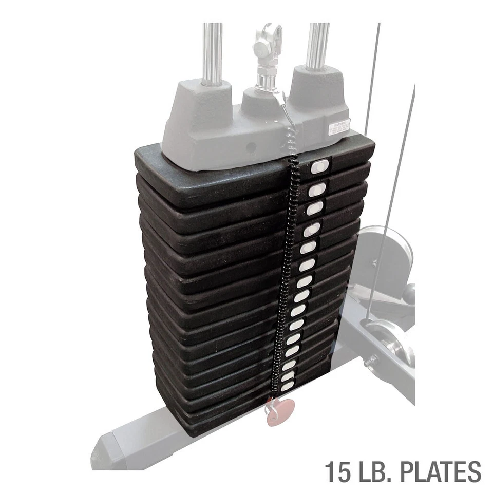 300 lb. Placas de peso seleccionadas (15 lb. Placas) Foto 1 de 1