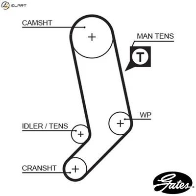TIMING BELT 5323XS FOR VW CARAVELLE/EUROVAN/IV/Bus/TRANSPORTER/Mk AUDI A6/S6 A6 - Image 1 of 4