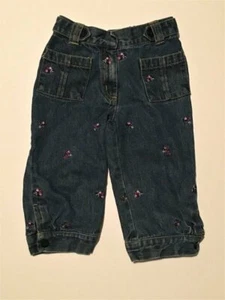 Gymboree PRETTY IN PLUMS Embroidered Floral Denim Capris ~ Sz 6 - Picture 1 of 2
