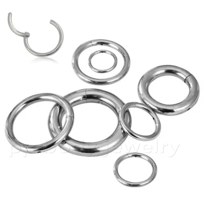 Hinged Seamless Segment Ring Surgical Steel Cartilage Nose Ring Labret Septum - Image 1 of 4