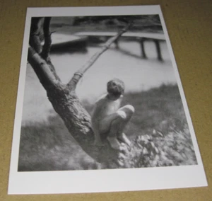 Clerence H. White Open-Air Nude Postcard - Picture 1 of 5