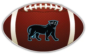 Carolina Panthers NFL Football Sport Logo Car Bumper Sticker Decal ''SIZES'' - Picture 1 of 1